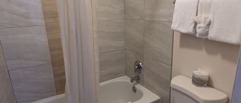 Standard Double Room, 1 Bedroom, Refrigerator & Microwave, Mountain View | Bathroom | Combined shower/tub, free toiletries, towels, soap