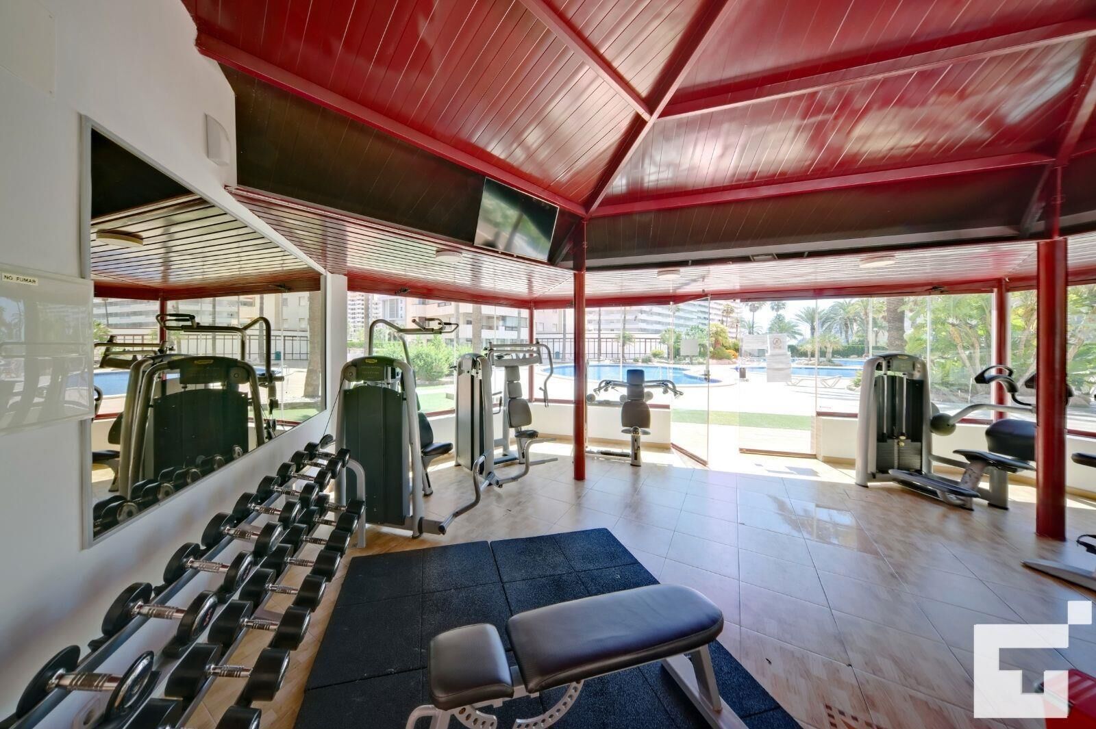Een fitnessruimte met diverse trainingsapparaten, een bankje en uitzicht op een zwembad en groen buiten.