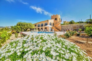 A building with a pool, surrounded by a garden with white flowers.