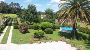 Um jardim bem cuidado com piscina, arbustos diversos e uma palmeira.