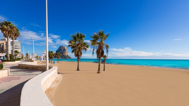 Une plage bordée de palmiers, un ciel dégagé et une mer calme.