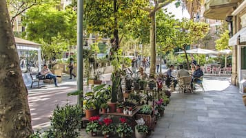 Terrein van de accommodatie