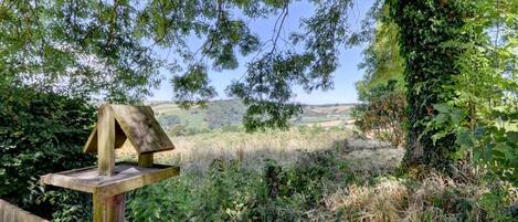 المنطقة المحيطة بالمنشأة