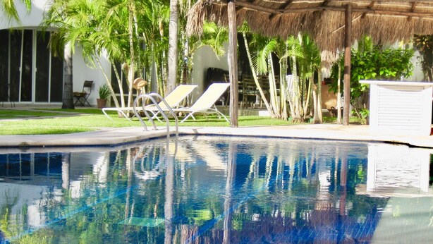 Una piscina con agua cristalina que refleja palmeras y una estructura de techo de paja.