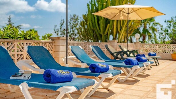 A row of sun loungers with blue cushions and a yellow umbrella, set against a backdrop of cacti and a clear sky. - Benicolada - Grupo Turis - Calpe, Costa Blanca (Calpe)