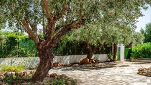 A stone pathway leading to a white building, surrounded by olive trees and greenery. - Benicolada - Grupo Turis - Calpe, Costa Blanca (Calpe)
