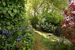 Property grounds - Cosy holiday home in a quiet area of Midhurst, West Sussex. (Midhurst)