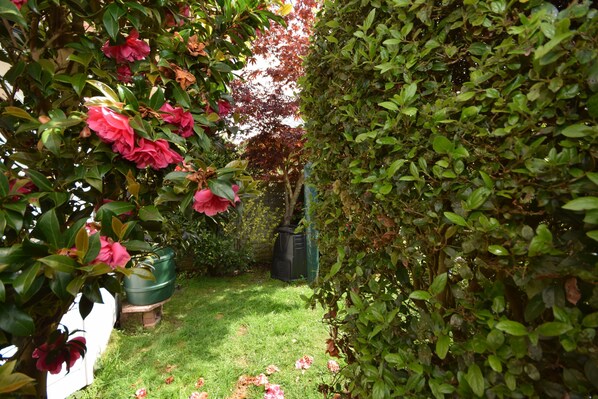 A garden with green hedges and pink flowers. - Cosy holiday home in a quiet area of Midhurst, West Sussex. (Midhurst)