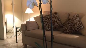 TV connectée, lecteur de DVD, chaßne hi-fi