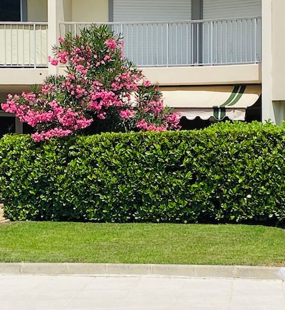 Superb 4-star 2-room ground floor apartment with terrace & large pool