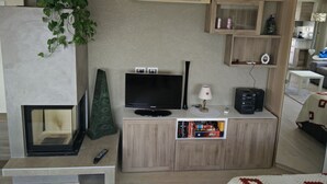 Un salon avec une cheminée, un téléviseur, une bibliothèque et une plante.