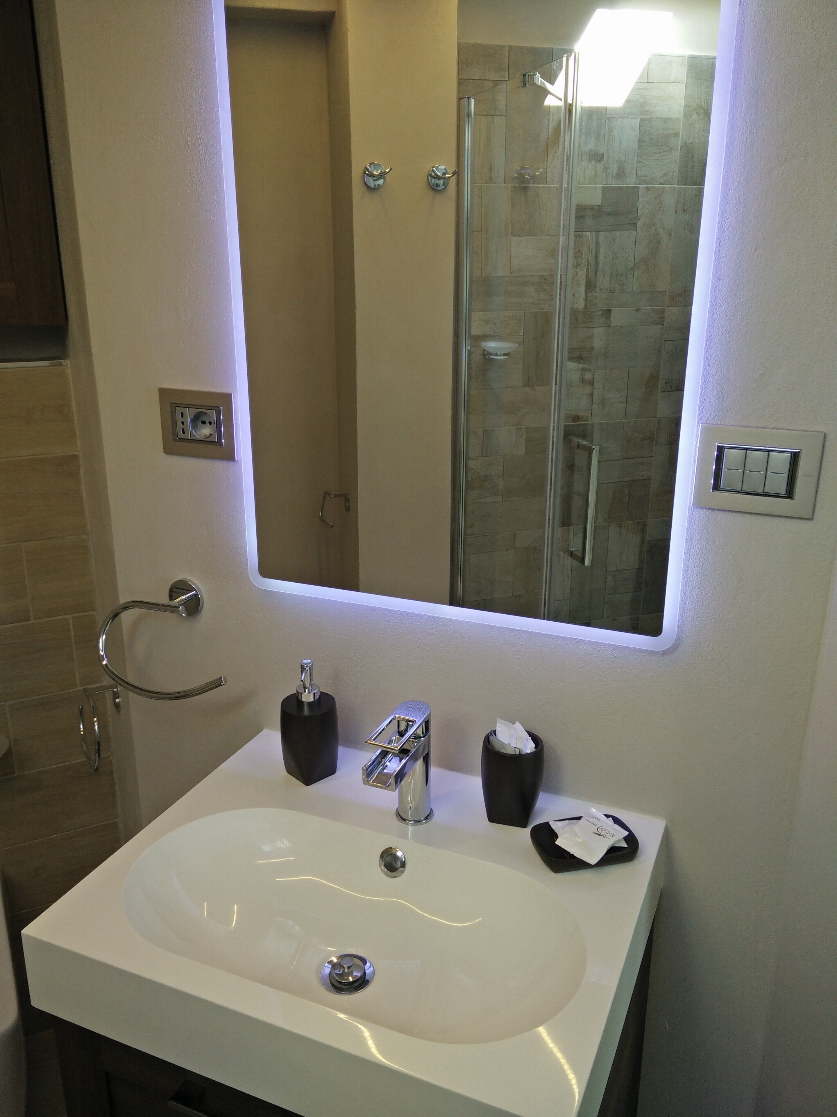 Shower, hair dryer, bidet, towels