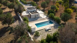 A modern villa with a swimming pool, surrounded by olive trees and dry grass.