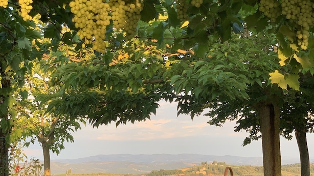 A table set under a tree with a view of vineyards and distant hills. - Breathtaking views of the Chianti hills, Tradition, Sustainability and Design (Montespertoli/Firenze)