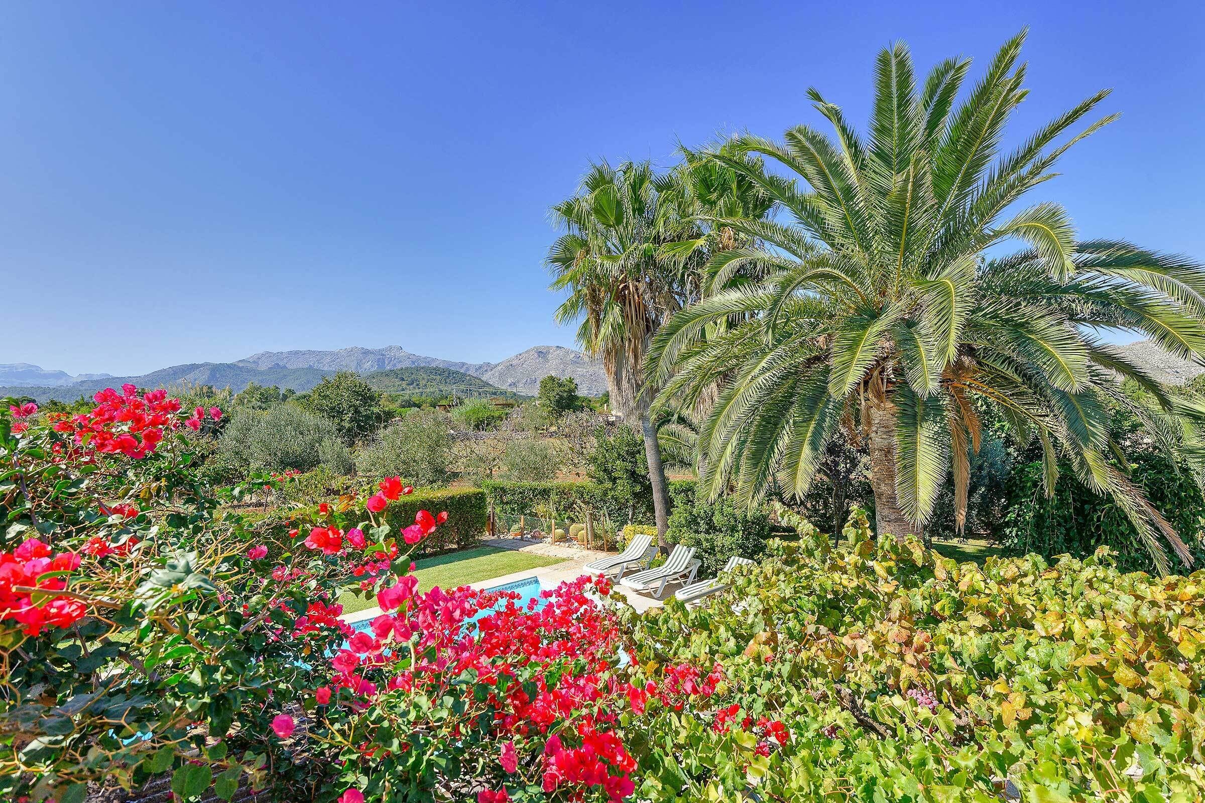 A pool surrounded by lush greenery and palm trees, with mountains in the background.