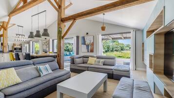 Smart TV, chimenea, libros y estéreo