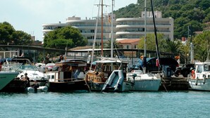 Un port de plaisance où sont amarrés différents types de bateaux, un pont en arrière-plan et un immeuble à plusieurs étages.