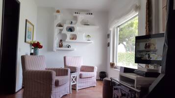 تلفزيون ذكي، مدفأة، مشغل دي في دي، ستيريو