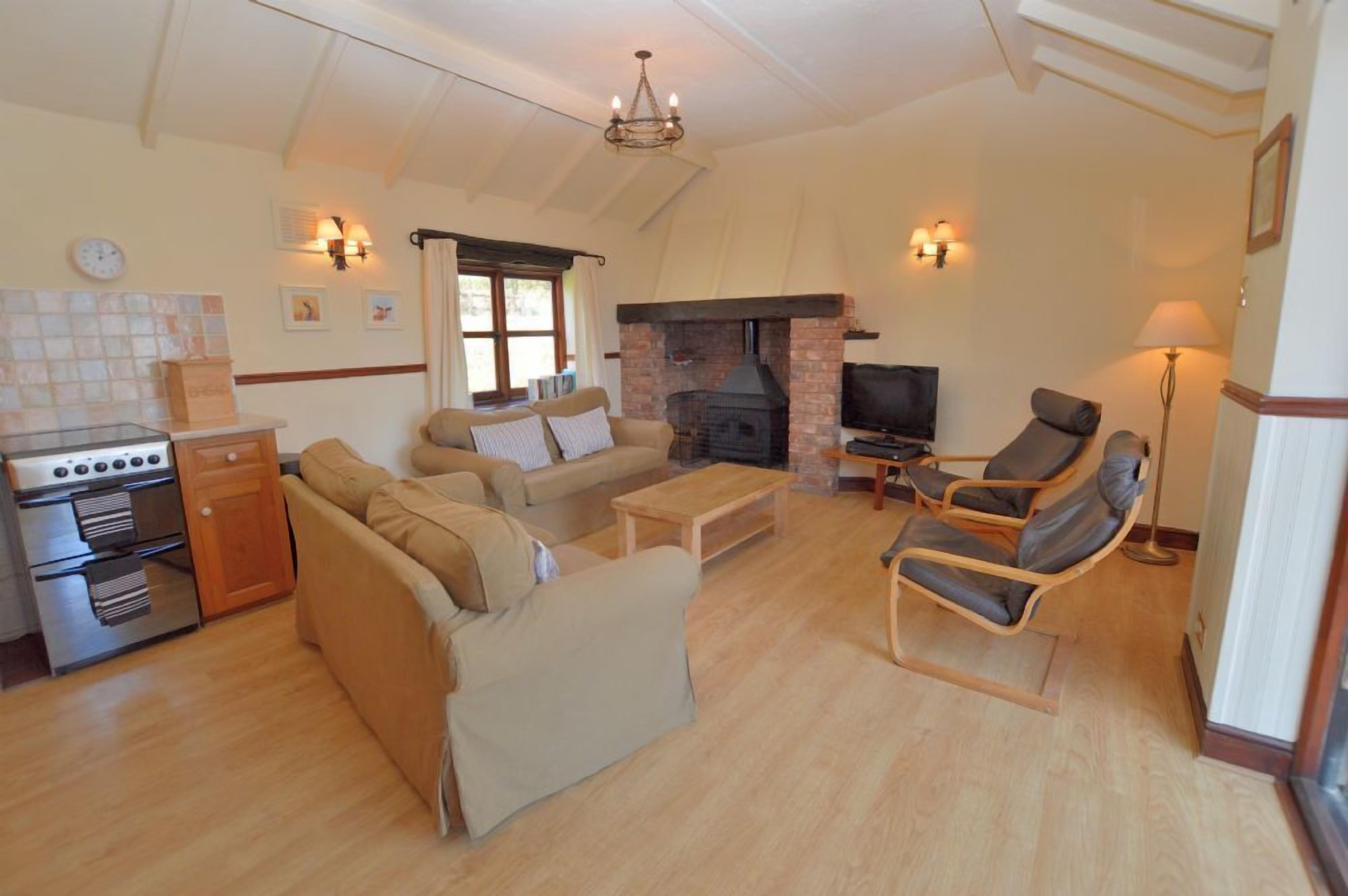 Flat-screen TV, ping pong, books