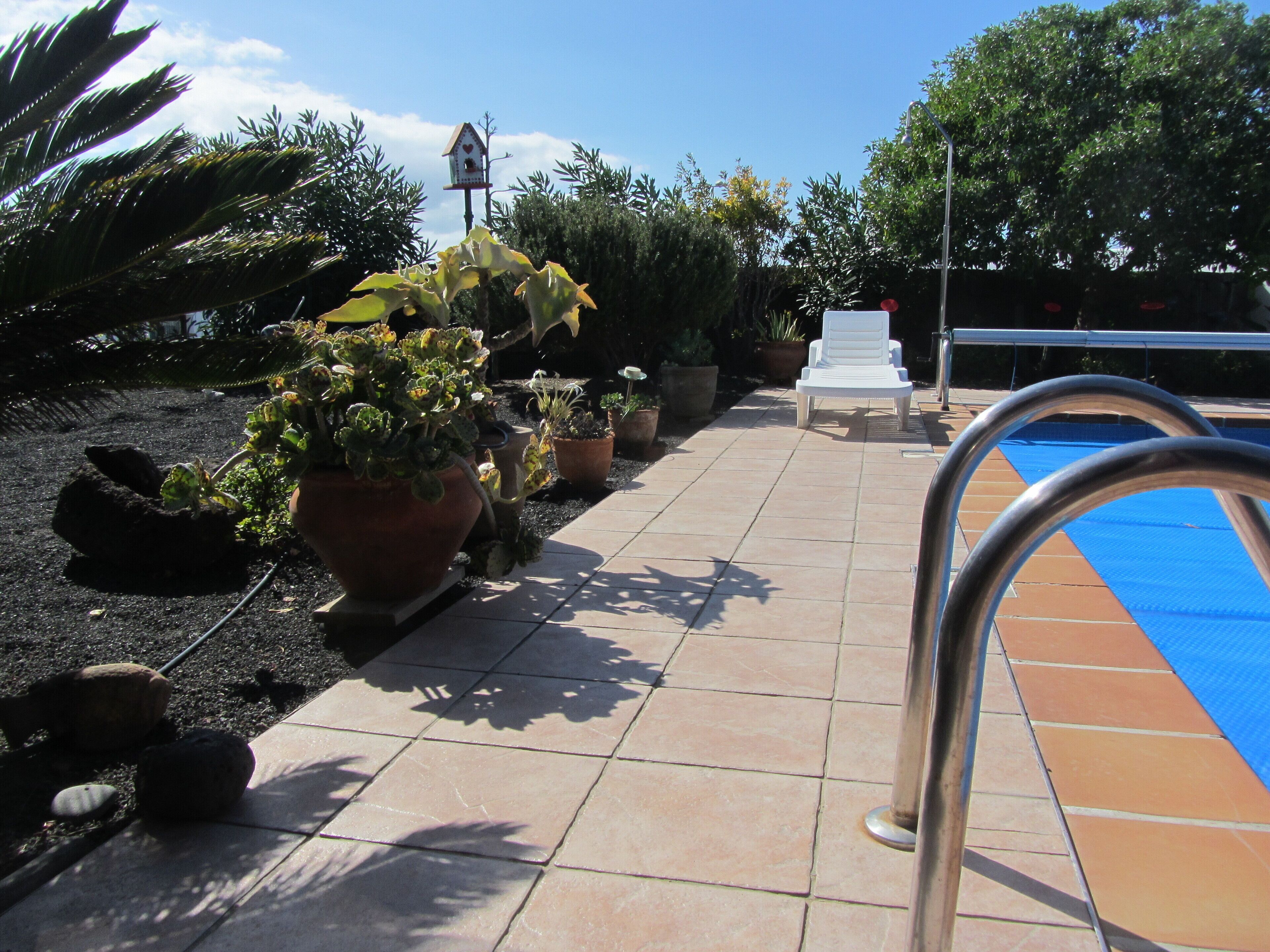 A poolside area with a tiled deck, potted plants, a white lounge chair, and a birdhouse.