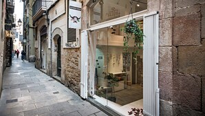A narrow street with a storefront featuring a glass door and a hanging plant. - Born - Habitat Apartments (Barcelona)