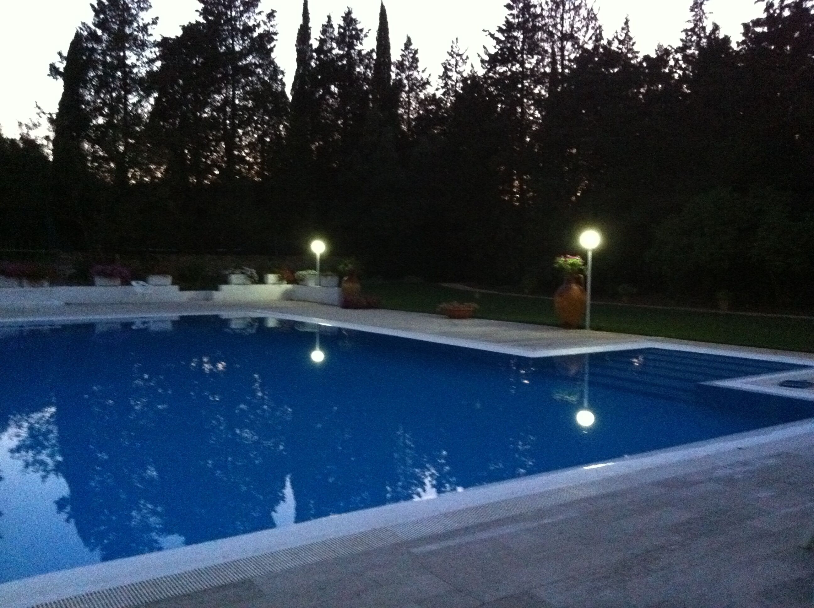 Una piscina con solárium de baldosas, rodeada de árboles y algunas macetas.