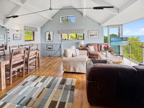 Televisión, chimenea y reproductor de DVD 