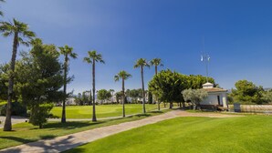A well-maintained golf course with a clear path, palm trees, and a small building with a dome roof.
