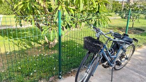 A bicycle parked against a green metal fence with a basket attached to the front.