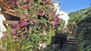 A building with a white facade and pink flowering vines. There is a staircase leading up to the building. - Terraced house with 3 bedrooms and garden, only 100m. from the beach (Grosseto-Prugna)