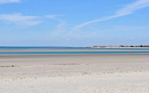 On the beach - 2 Walled Garden Cottages -  a cottage that sleeps 5 guests  in 2 bedrooms (Chichester)