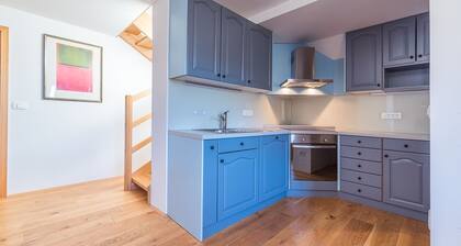 Nouvellement Rénové 5 Chambres Maison de Vacances Avec Jardin Dans Jereka, PrÚs du lac de Bohinj