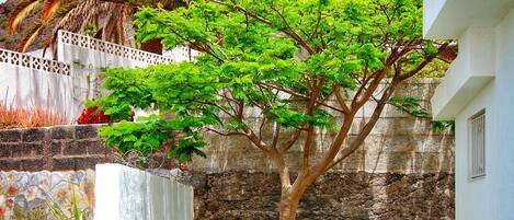 Un patio con un árbol, un muro de piedra y un edificio blanco.