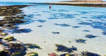 A 3 bedroom cottage that sleeps 6 guests with a heated covered pool