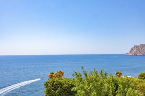 A coastal view with a clear sky, a boat creating a wake, and lush greenery in the foreground. - Villa Quimera - PlusHolidays (Benissa)