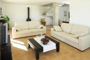 Fernseher, Kamin