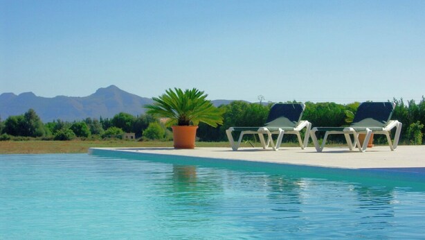 A pool with lounge chairs and a potted plant.