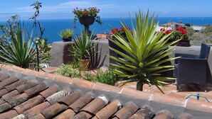 A rooftop terrace with potted plants, a wicker chair, and a view of the sea. - Rustic holiday home with small patio-terrace (Icod de los Vinos)