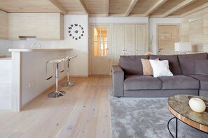 تلفزيون، مدفأة، مشغل دي في دي