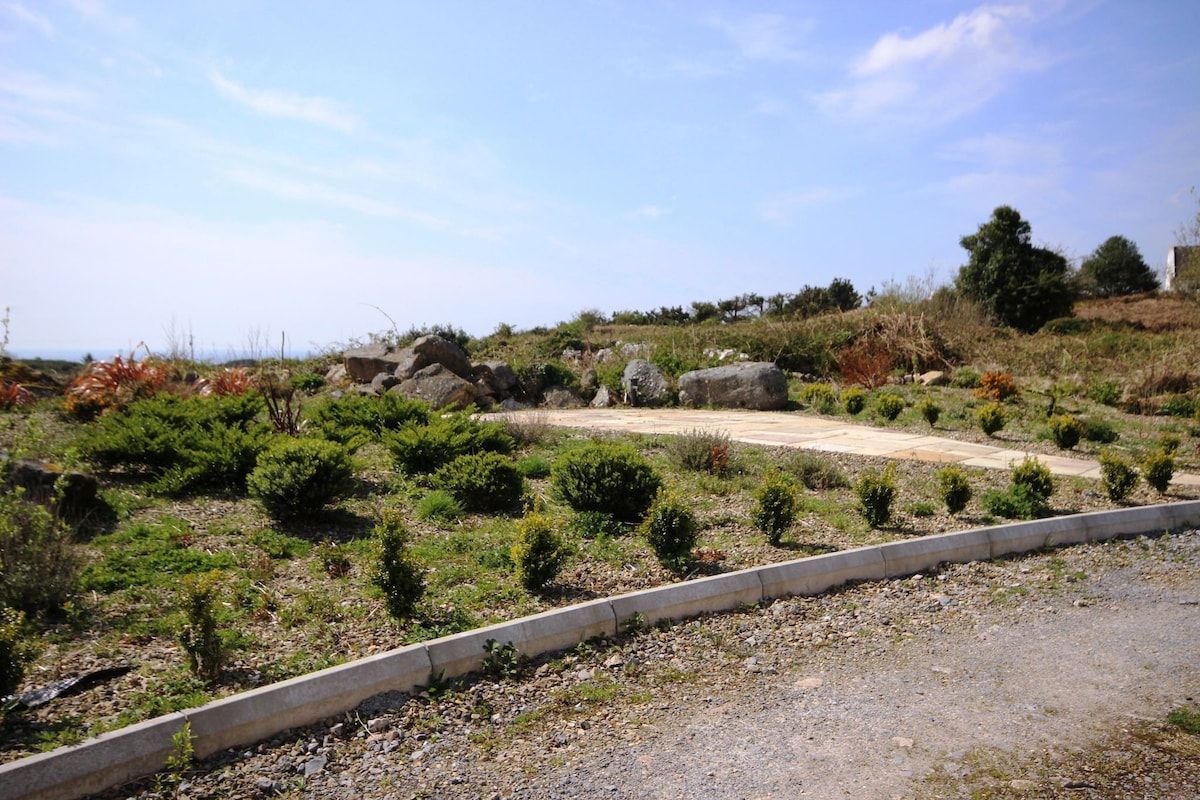 A landscaped area with a gravel path, small bushes, and a concrete border.