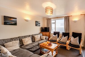 电视、DVD 播放器