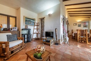 TV, fireplace, DVD player