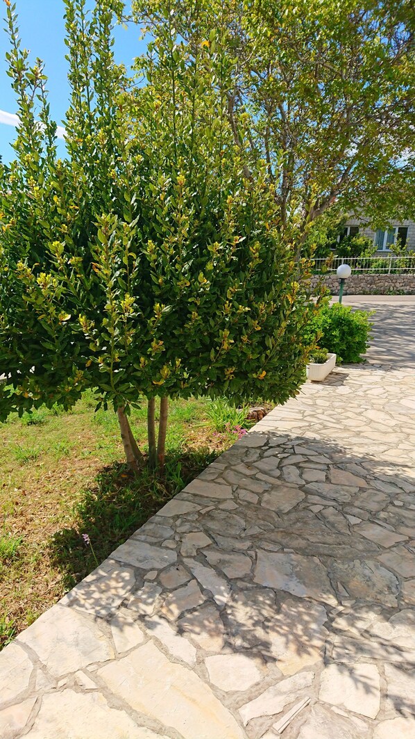 Property grounds - Beautiful Apartment With Balcony on Island Rab (Kampor)