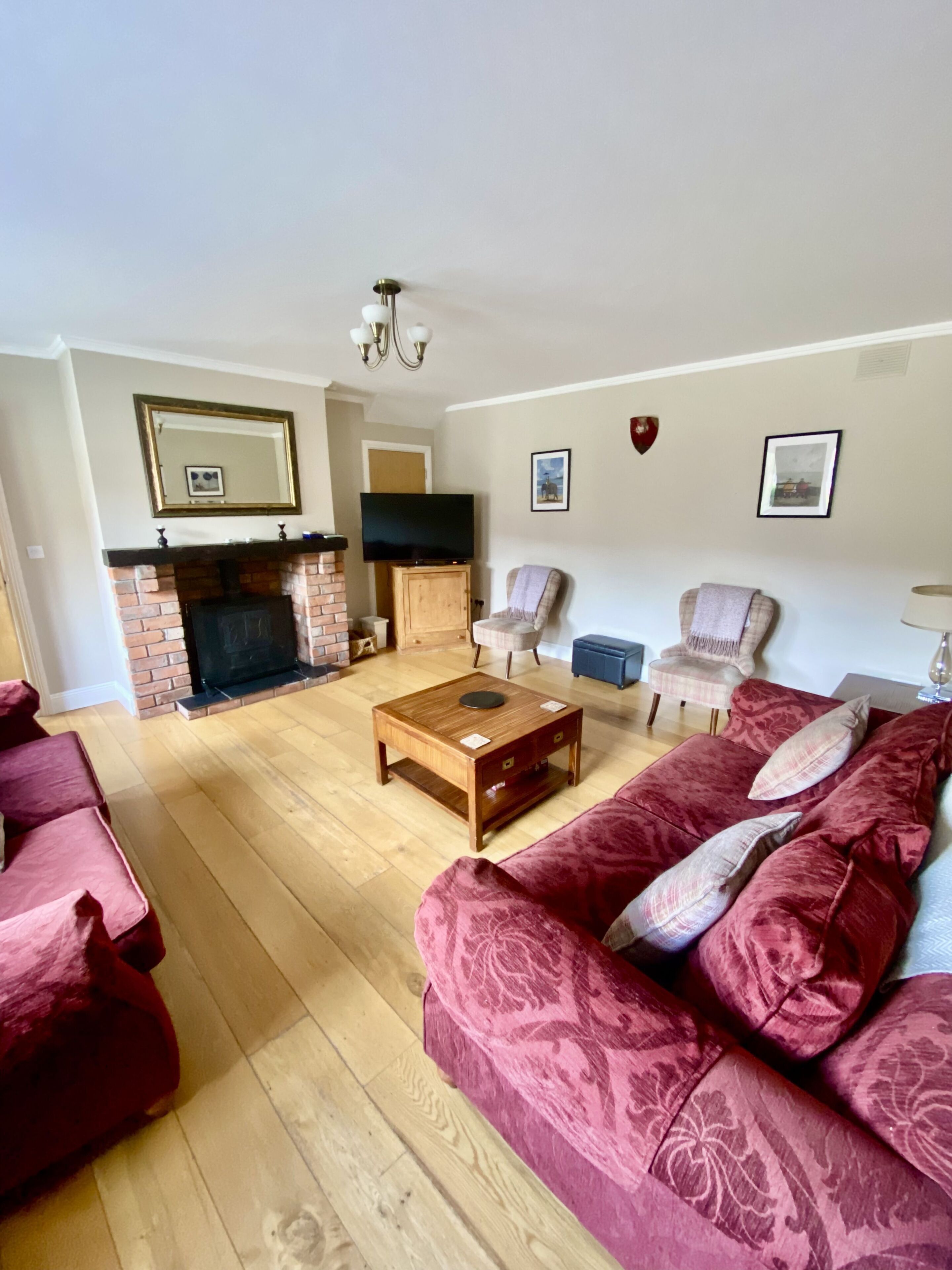 Smart TV, fireplace, DVD player, books