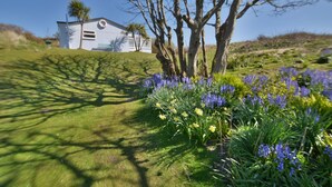 A house with a white exterior, surrounded by a grassy area with flowering plants. - F67 Ischia, Riviere Towans (Hayle)