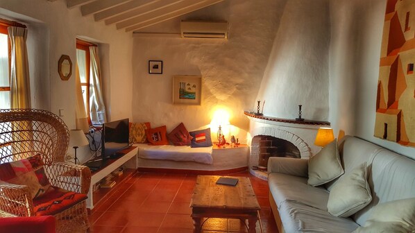 TV, fireplace, DVD player, books