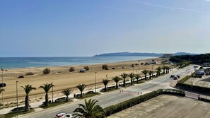 Een kustweg met een strand, palmbomen en een heldere lucht.