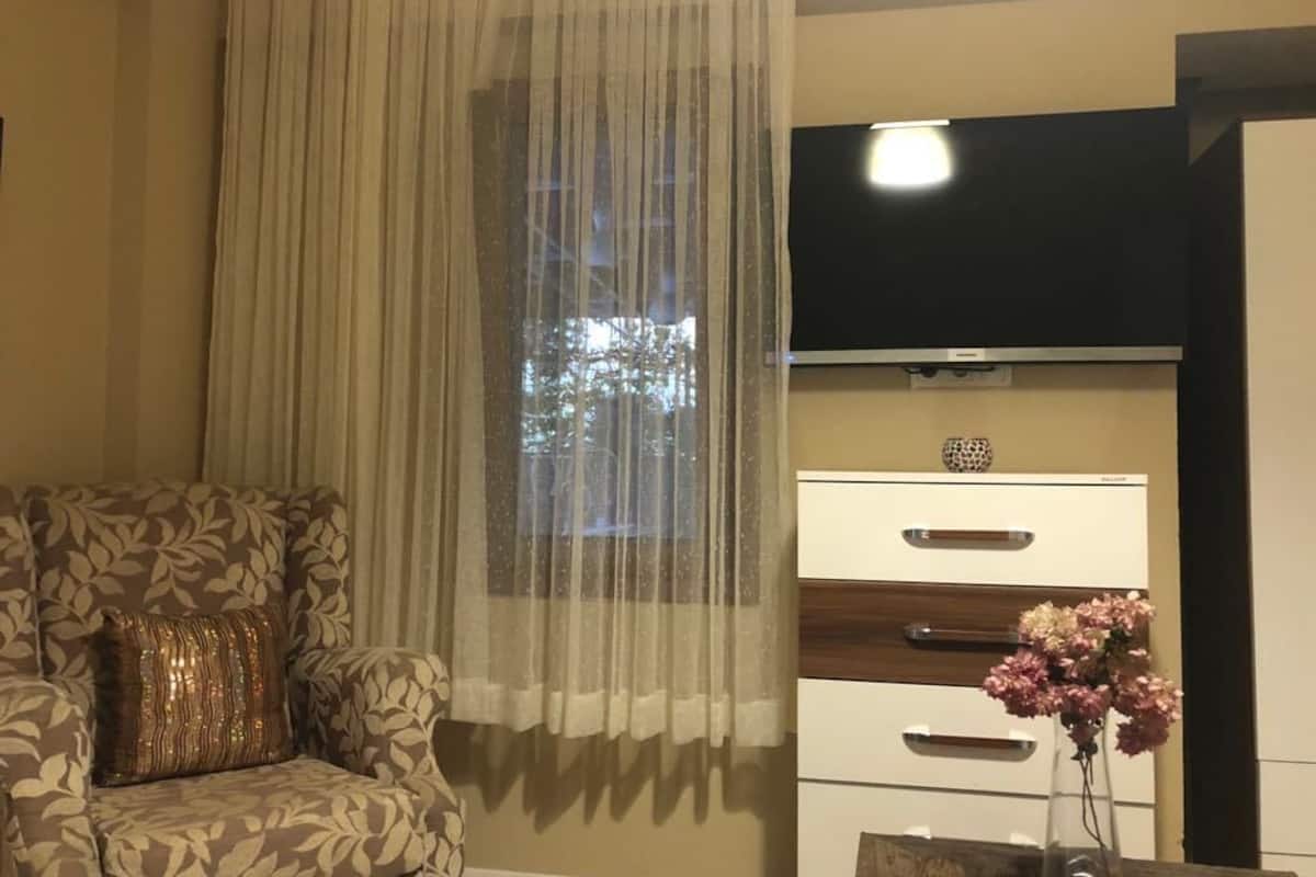 Deluxe Studio Suite, 1 Queen Bed | Living area | LCD TV