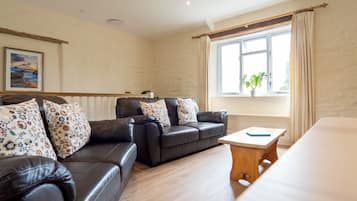 TV, DVD player, video library, stereo