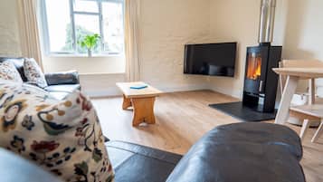 TV, DVD player, video library, stereo